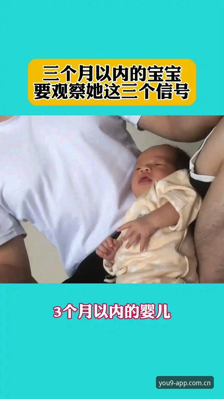 九游CN赛事数据平台最新版 辽宁铁人夏训重组背后的3个关键信号与一个观察窗口